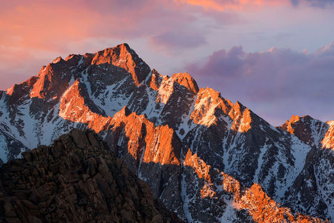 4 Ухоп Новый'